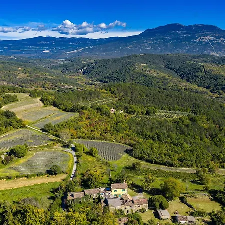 Franz By Interhome *